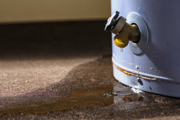 Best Local water damage restoration  in Hildebran, NC
