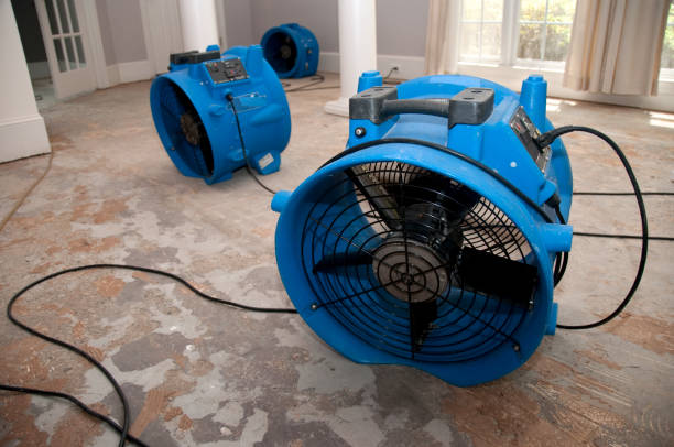 Best Fire Damage Restoration  in Hildebran, NC
