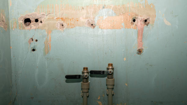 Best Professional water damage repair  in Hildebran, NC
