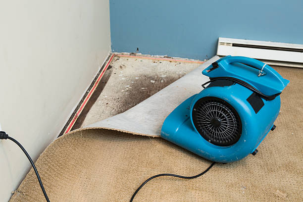 Best Water damage contractors near me  in Hildebran, NC